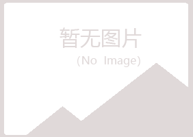 河池斑驳水泥有限公司